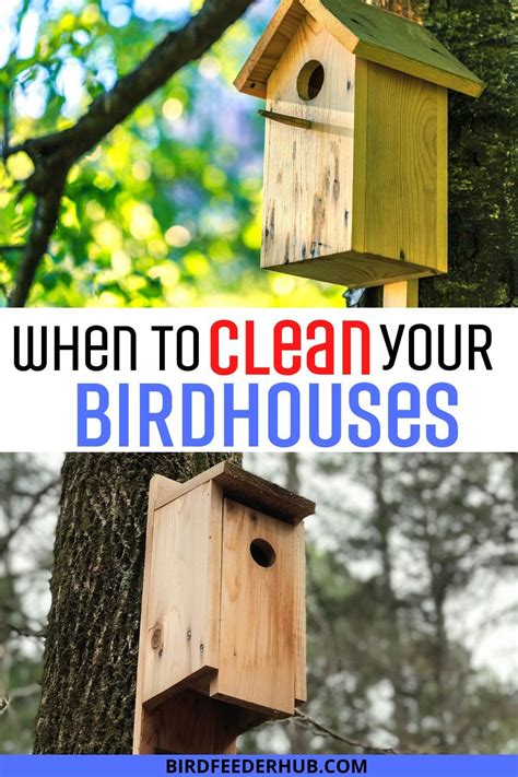 Is it too late to clean out bird houses  If the nest has been abandoned or no eggs have yet been laid, it can be removed or destroyed as needed